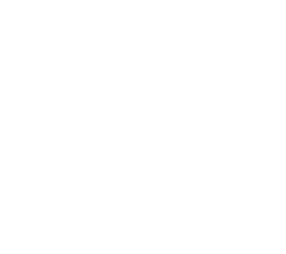 K20 Logo
